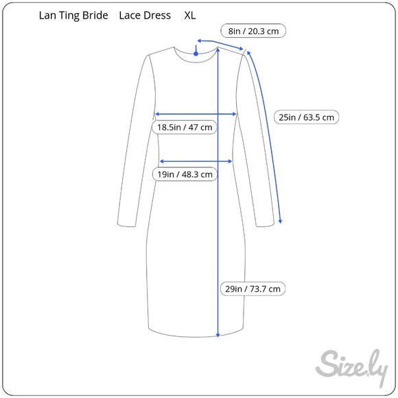 Lan‎ Ting Bride NWT Gray Lace Tunic Too XL Padded Bra Formal Wedding Cocktail - Picture 14 of 14
